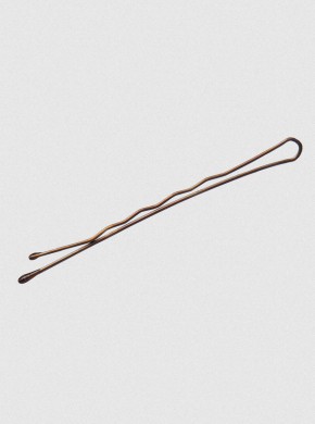 BOBBY PINS-2