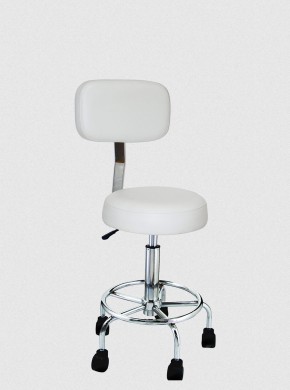 CHARM ROUND SEAT STOOL WITH BACKREST 1